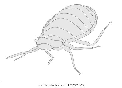 Cartoon Image Of Bed Bug