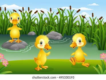 Cartoon Duck Family Stock Illustration 497221228 | Shutterstock