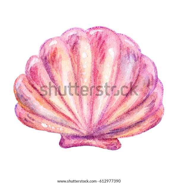 Cartoon Marine Watercolor Red Shell Illustration Stock Illustration ...