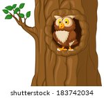 Cartoon Owl In Tree