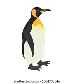 Cartoon Penguin Icon On White Background Stock Illustration 1504733546