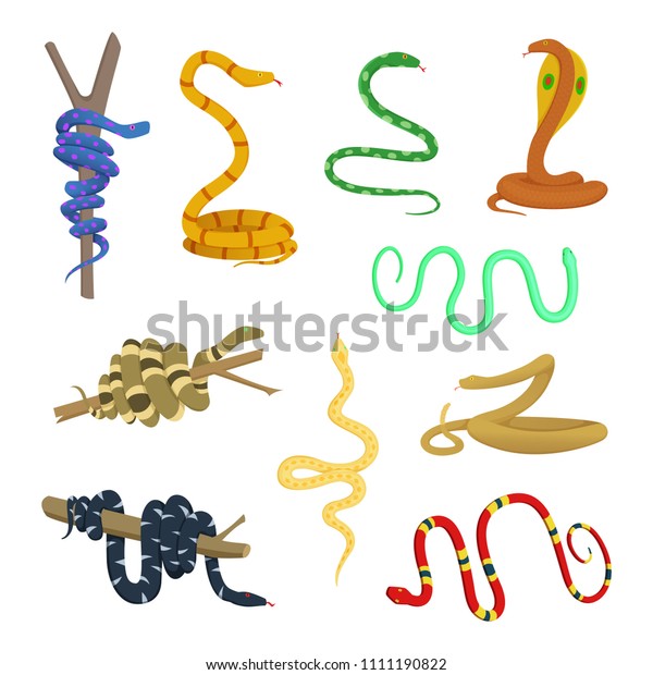 Cartoon Pictures Different Snakes Reptiles Snake Stock Illustration ...