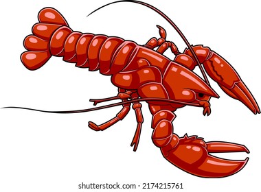 2,105 Two lobster Images, Stock Photos & Vectors | Shutterstock