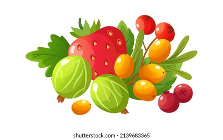 Cartoon Ripe Berries. Gooseberry, Red Strawberry And Fresh Cranberry. Rowan Berry, Isolated Raw Fruits. Seasonal Juicy Healthy Food With Green Leaf Sticker