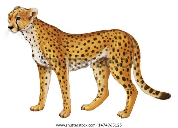 Cartoon Scene Young Cheetah Resting On Stock Illustration Shutterstock