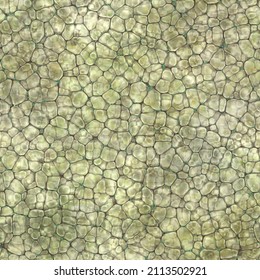 Cartoon Seamless Texture Color Fantasy Cobble Stone Ground Pavement With Grass