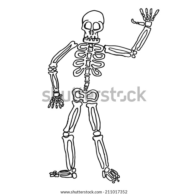 Cartoon Skeleton Outline Artwork Raster Image Stock Illustration 211017352