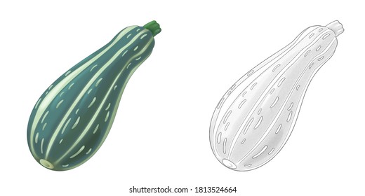 Cartoon Sketch Scene Vegetable Looking Courgette Illustration For Children