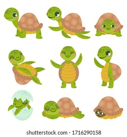 Cartoon Smiling Turtle. Funny Little Turtles, Walking And Swim Tortoise Animals  Set. Collection Of Cute Friendly Aquatic And Terrestrial Reptilians. Adorable Sea And Land Dwelling Reptiles.