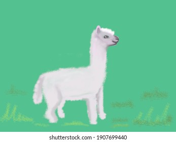 Cartoon Spray Painting Cute Alpaca Picture White Body