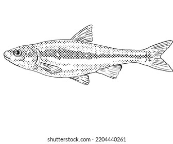 Cartoon Style Line Drawing Silverjaw Minnow Stock Illustration ...