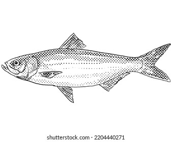 Cartoon Style Line Drawing Skipjack Shad Stock Illustration 2204440271 ...