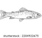 Cartoon style line drawing of a westslope cutthroat trout or Oncorhynchus clarkii lewisi a freshwater fish endemic to North America with halftone dots shading on isolated background black and white.