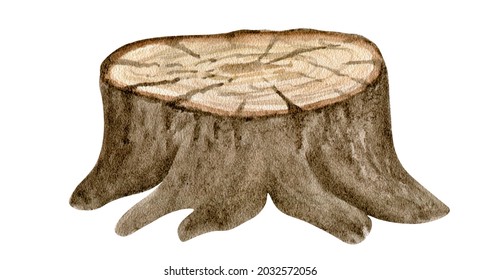  Cartoon Tree Stump Watercolor Illustration.