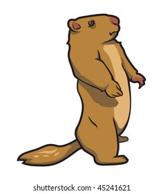 Cartoon Vector Illustration Prairie Dog