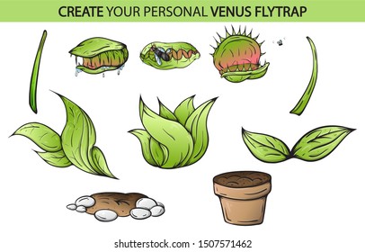 Cartoon Venus fly trap eats  catches fly  Isolated white background creative high quality drawing 