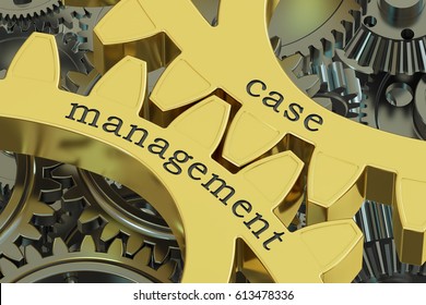 Case Management, Concept On The Gearwheels, 3D Rendering