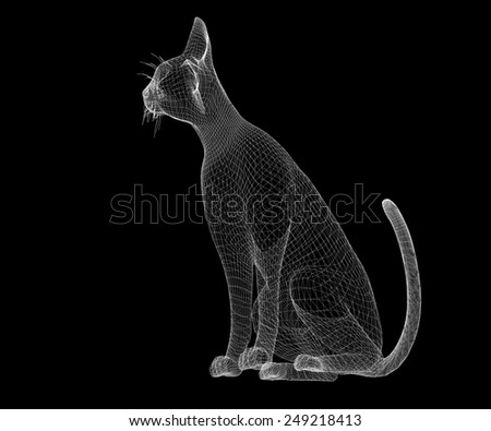 Similar – fernet Animal Pet Cat