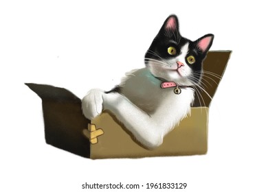 Cat Box On Transparent Background Stock Illustration 1961833129 ...