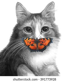 Cat   butterfly