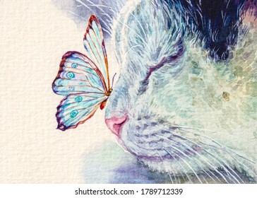 Cat   butterfly nose  Cute kitten sleeping and insect  Home pet  Watercolor painting 
