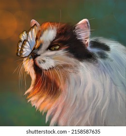 Cat   butterfly