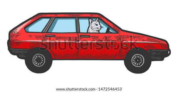 Cat driving car color sketch engraving raster\
illustration. Scratch board style imitation. Black and white hand\
drawn image.