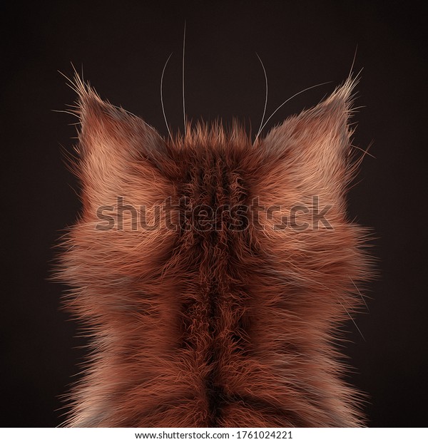 猫耳 縞模様の茶色の猫の背景 可愛い子猫 かわいらしい子猫 ふわふわした子猫の背景の接写 ファーのマクロショット のイラスト素材