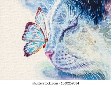 Cat face and butterfly nose  Cute kitten   insect  
