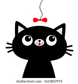 345,845 Black cat face Images, Stock Photos & Vectors | Shutterstock