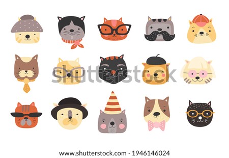 Similar – Image, Stock Photo Cat in hat Domestic cat