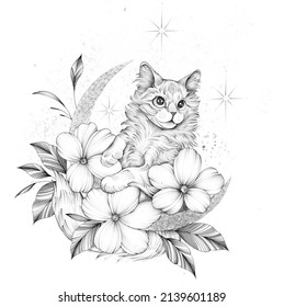 Cat illustration and flowers  stars   moon