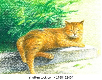 Cat Illustration.cat With Tree. Draw By Colored Pencil.take A Rest. Hand Drawn. Tabby Cat.take A Break.cat Sleep At Afternoon.