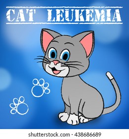 Cat Leukemia Meaning Bone Marrow And Pet
