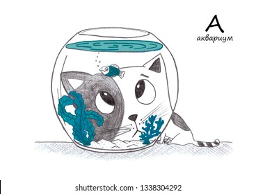 Cat Looking Into The Aquarium, Alphabet For Children,surprised Cat, Fish Tank