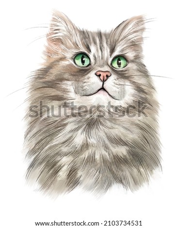 a cat painted in watercolor. fluffy cat. grey cat. a cat with green eyes. serious