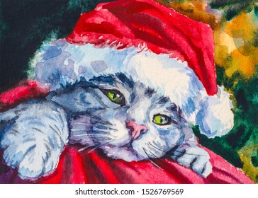 Cat in Santa Claus hat. Funny kitten. Christmas time.
