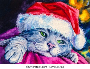 Cat in Santa Claus hat. Funny kitten. Merry Christmas.