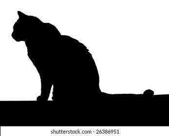 Cat Silhouette