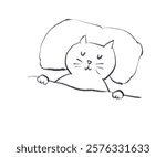Cat sleeping in the bed