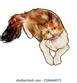 Cat Water Color Colorful Design