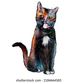 Cat Water Color Colorful Design