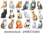 Cat watercolor, adorable pet isolated background. Collection Cats of different breeds. Cute kitten Watercolour painting 