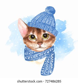 cat snow hat