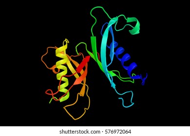 Cathelicidin, Which Serves A Critical Role In Mammalian Innate Immune Defense Against Invasive Bacterial Infection. 3d Rendering.