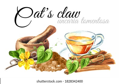 Cats claw or Uncaria tomentosa card. Watercolor hand drawn illustration isolated on white background