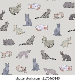 Cats funny illustrations seamless pattern 