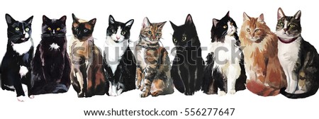 Cats Watercolor Border Isolated on White Background.
