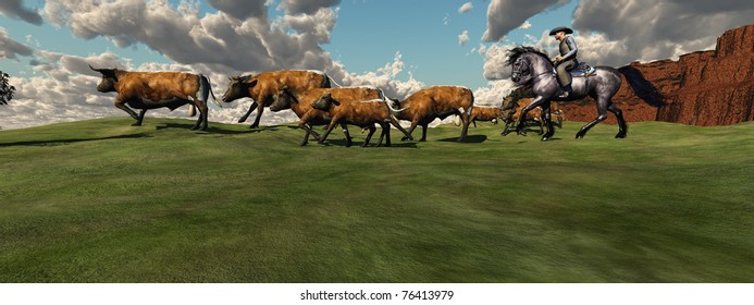 CATTLE ROUNDUP - A Cowboy Drives A Herd Of Cattle Back To The Ranch.