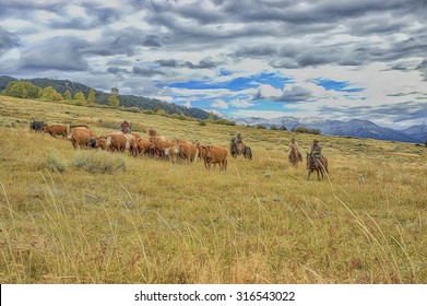 Cattle Roundup In Montana,digital Oil Painting